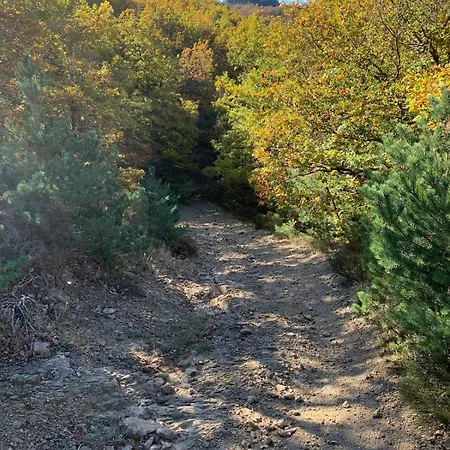 Maison Spacieuse Tranquille Et Calme Pmr Possible