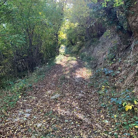 Maison Spacieuse Tranquille Et Calme Pmr Possible