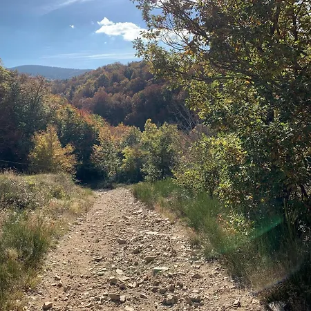 Hébergement de vacances Maison Spacieuse Tranquille Et Calme Pmr Possible *