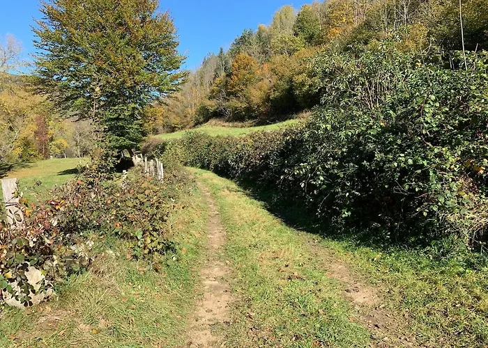 Maison Spacieuse Tranquille Et Calme Pmr Possible *