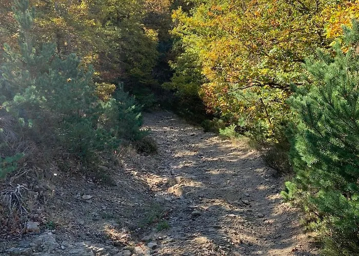 Maison Spacieuse Tranquille Et Calme Pmr Possible