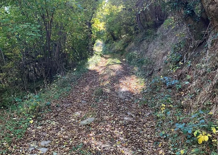 Maison Spacieuse Tranquille Et Calme Pmr Possible