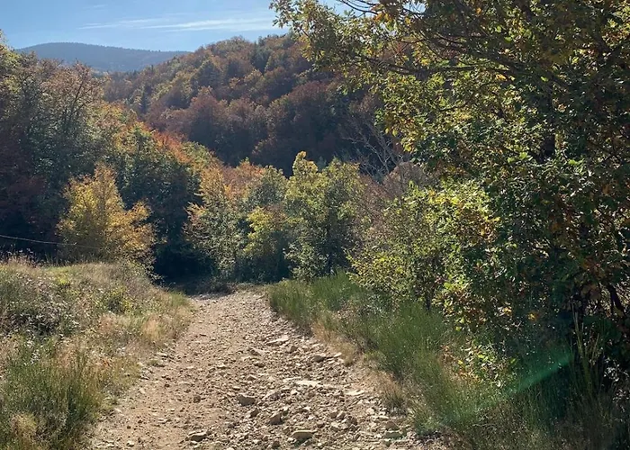 Holiday home Maison Spacieuse Tranquille Et Calme Pmr Possible *